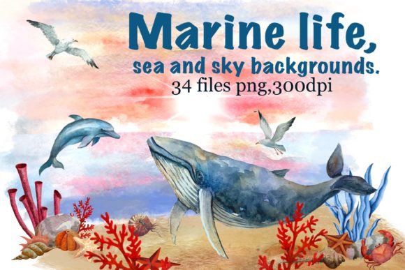 Download Marine Life, Sea and Sky Backgrounds - Marine life Collection